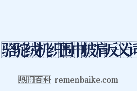 骆驼绒机织围巾披肩反义词是什么意思的图片